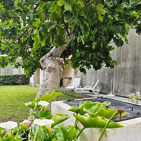 Holiday home Casa De Campos - - Costa Da Morte Muxia
